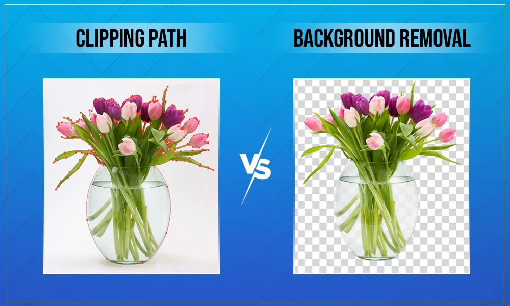 Clipping Path vs. Background Removal